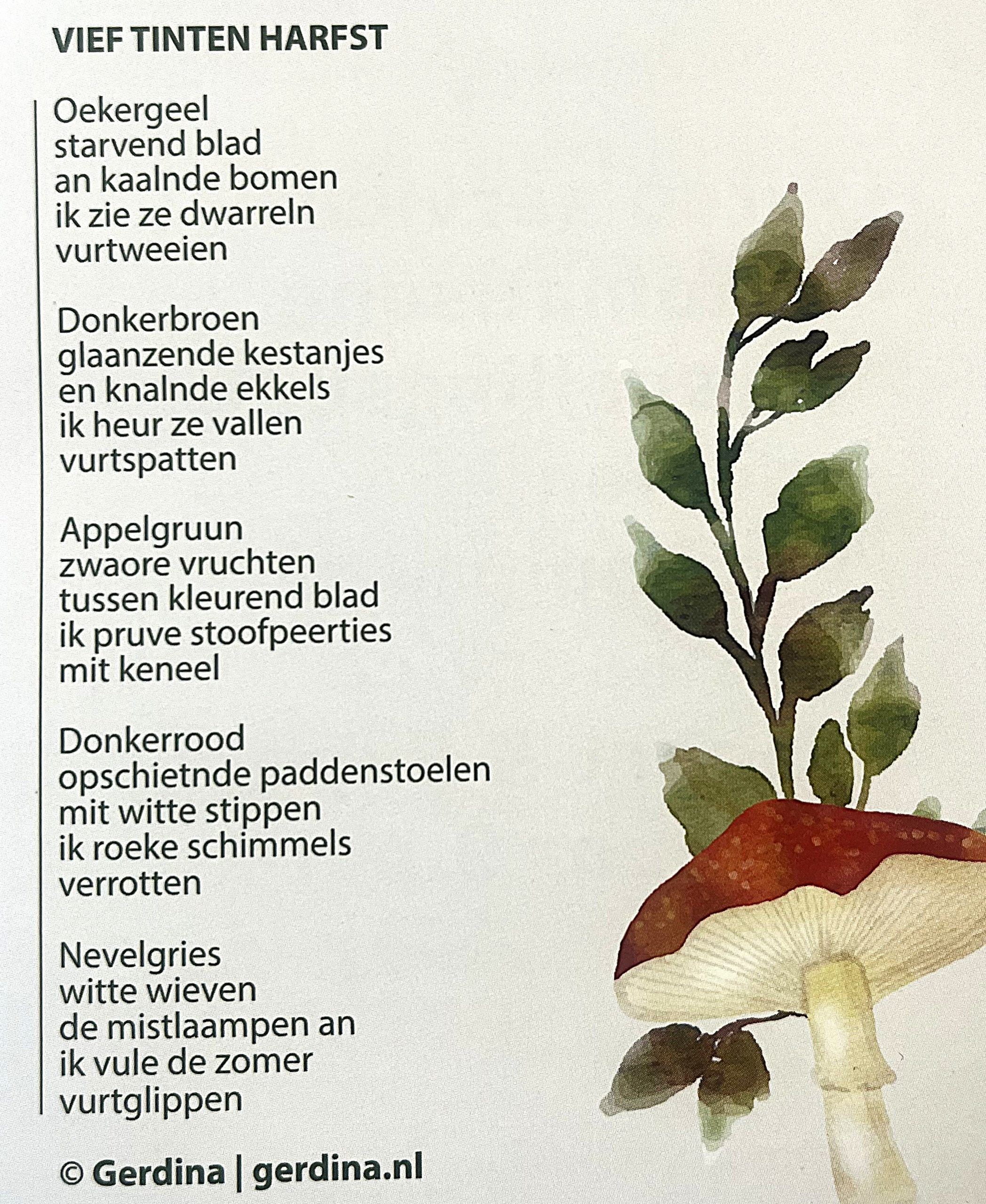 5 tinten herfst RW 16 van 23sep26